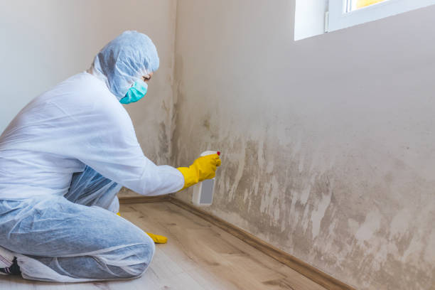 Bathroom Mold Removal assessment in Loveville bathroom